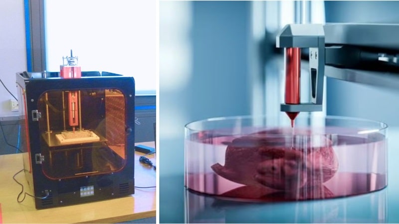 05 biostampante enea