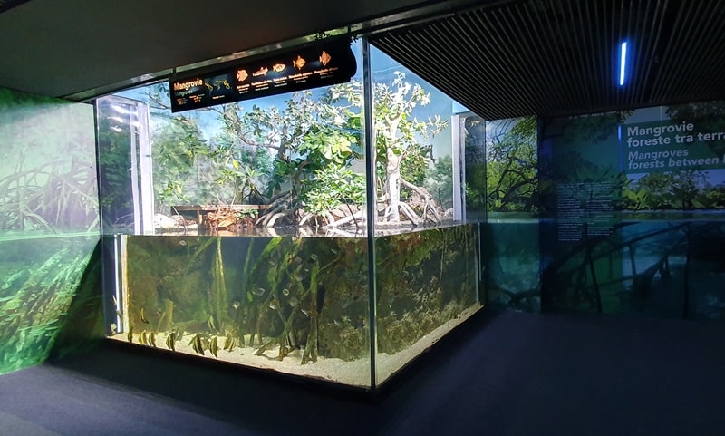Acquario di Genova nuova area mangrovie