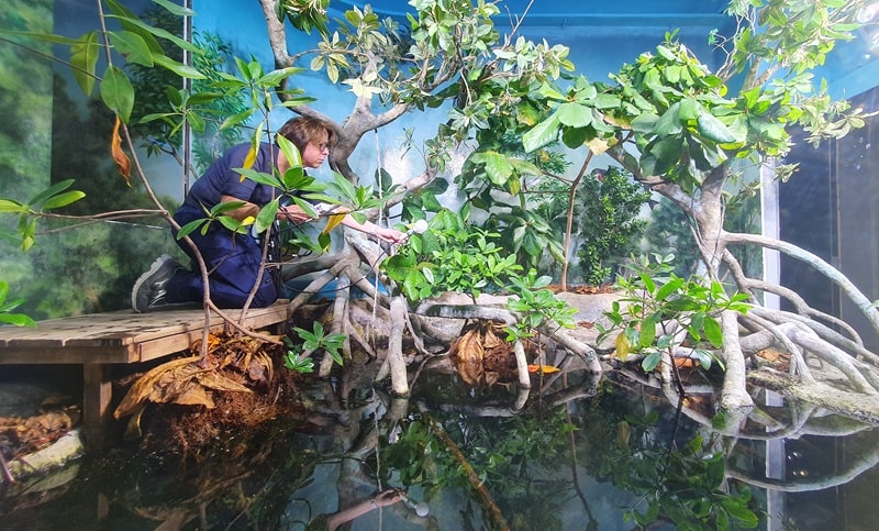 Acquario di Genova vasca mangrovie misurazione luce 2024 1