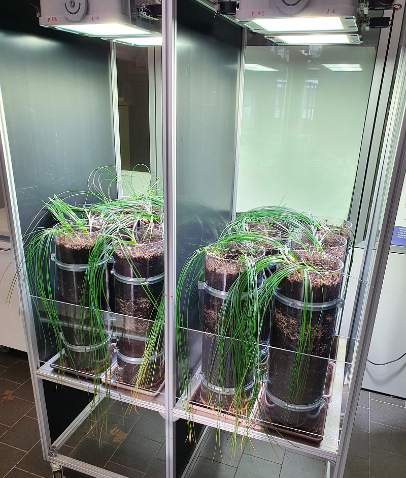 Carrello illuminante02