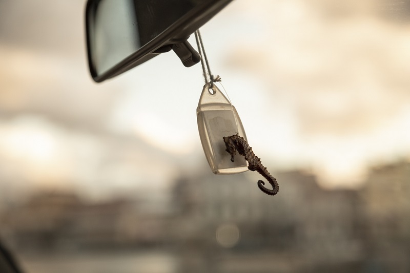 Davide Bertuccio Photo Story Finalist