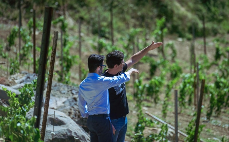 FEG Progetto Appennino Vitamine in Azienda 2024