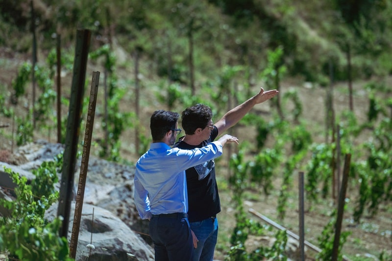 FEG Vitamine in Azienda call territori 2023