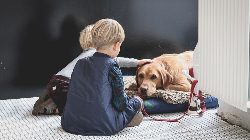 FOTO COPERTINA CONFIDO