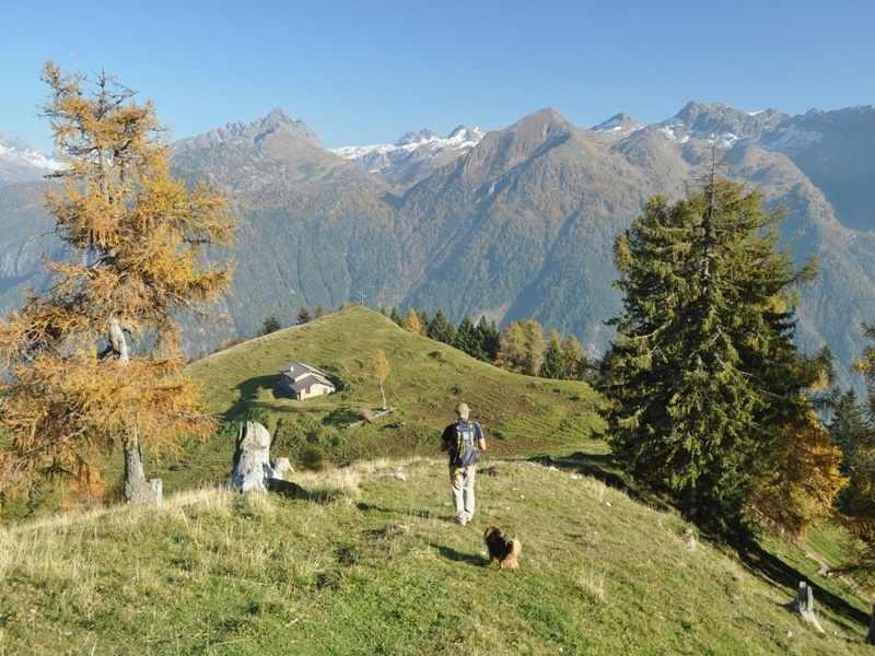 FOTO PASSEGGIATA borghidog