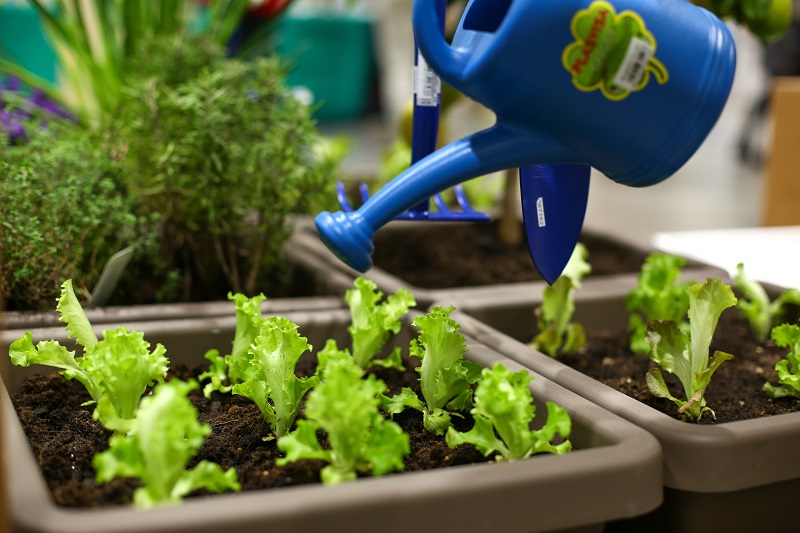 Fa la cosa giusta2019 orti credits Alessia Gatta