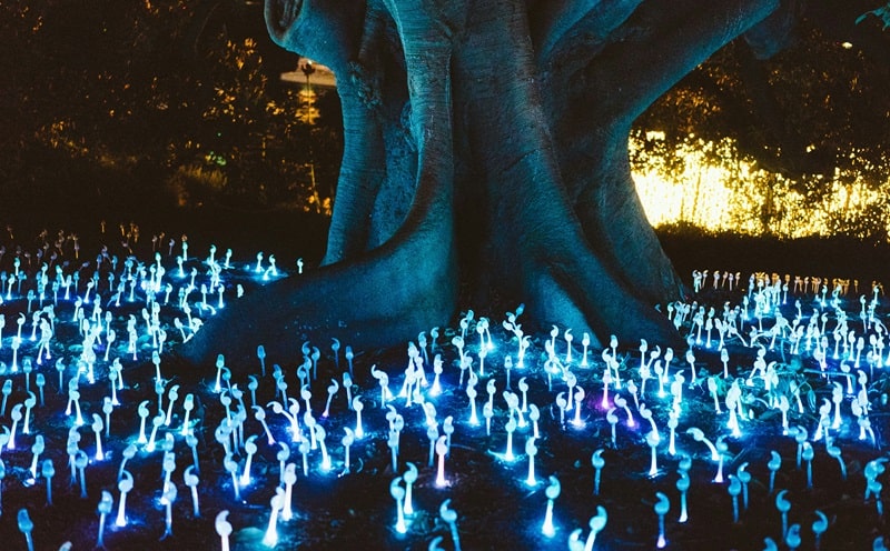 Favole Blu, il podcast di audio-racconti dedicati ai minori in trasferta sanitaria