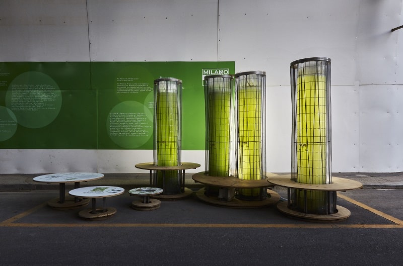 Foresta Liquida Design Differente 15