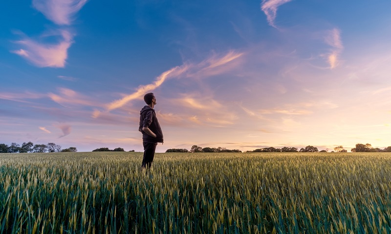 Formatore Agricolo Ambientale