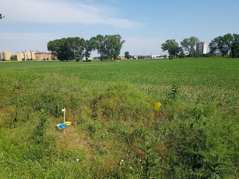 Foto 1 I tre ambienti principali che sono stati campionati margini di campi agricoli con varie superfici impervie nelle vicinanze