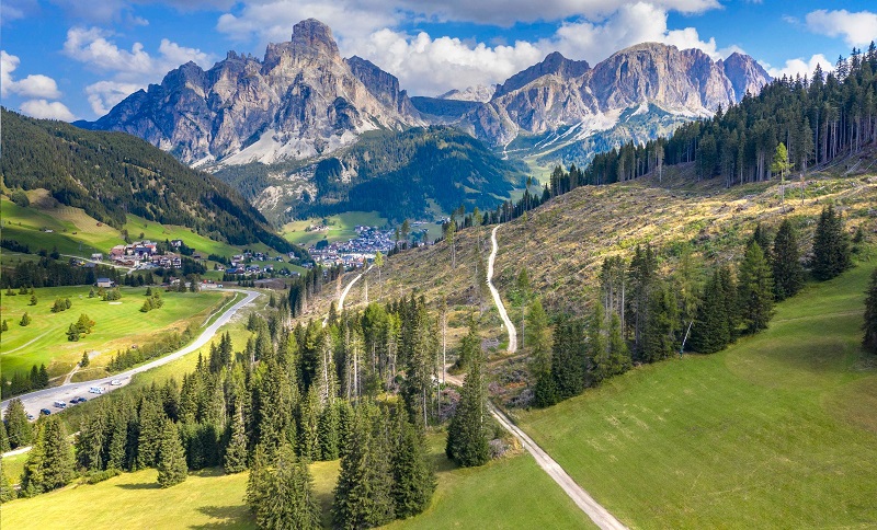 Immagine Mosaico Verde