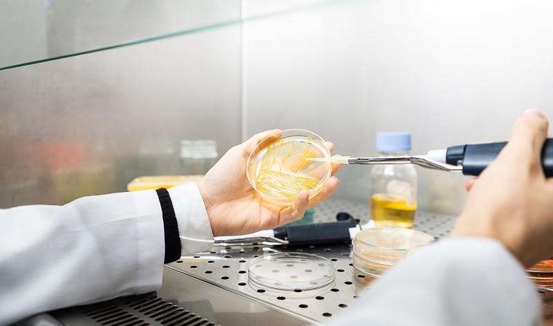 Laboratorio microval