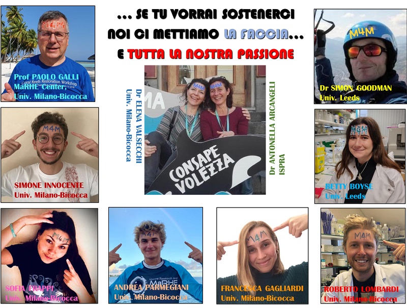 M4M team in italiano