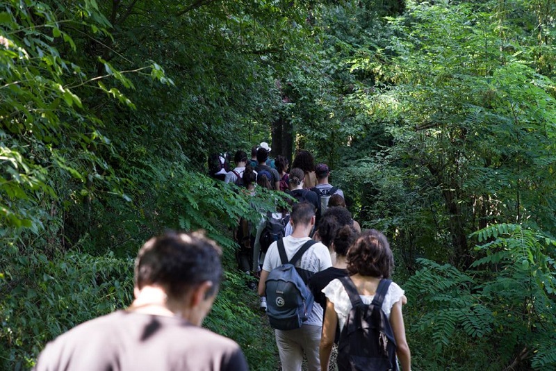 Nel bosco foto Chiara Ferrin