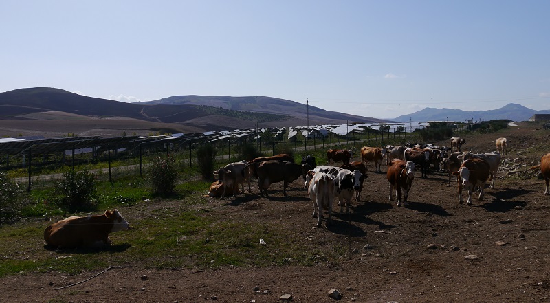 Parco Monreale03 enea