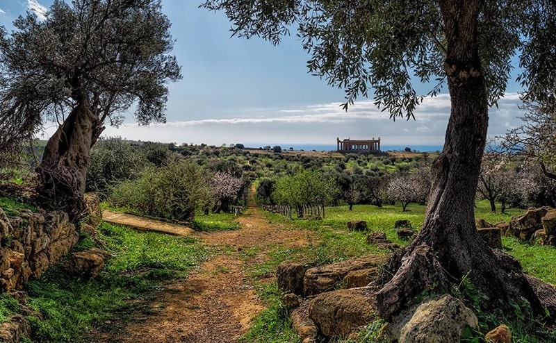 Premio Nazionale del Paesaggio 2026: selezioni aperte per i migliori progetti italiani 