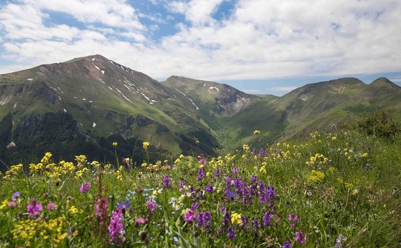 Progetto Appennino 2025. Al via la call per territori che ospiteranno i giovani imprenditori di domani