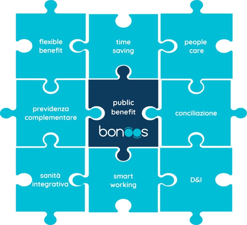 Puzzle bonoos public benefit