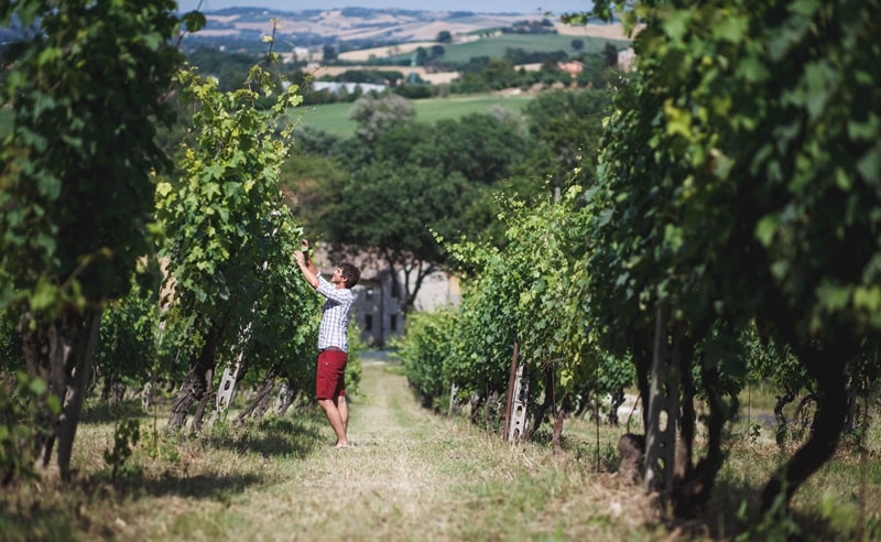 ReStartApp bando giovani progetto appennino 2025