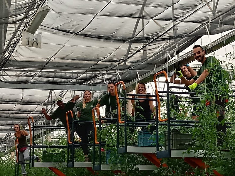 Ad oggi Sfera ha dato lavoro a 165 persone. Fonte Facebook Sfera 5 Ad oggi Sfera ha dato lavoro a 165 persone