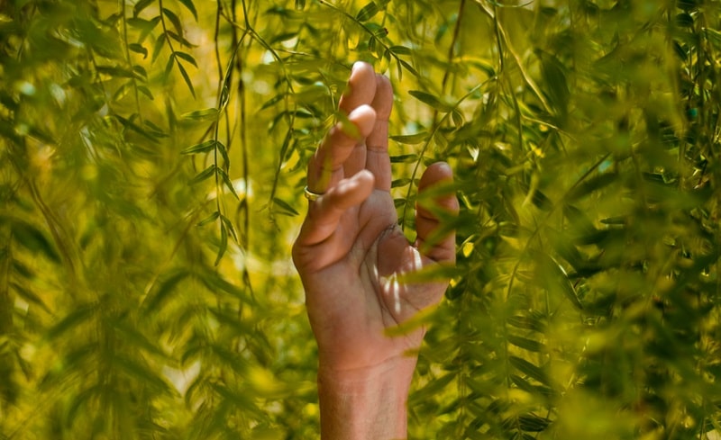 La sostenibilità come opportunità per rilanciare la nostra economia e produrre lavoro