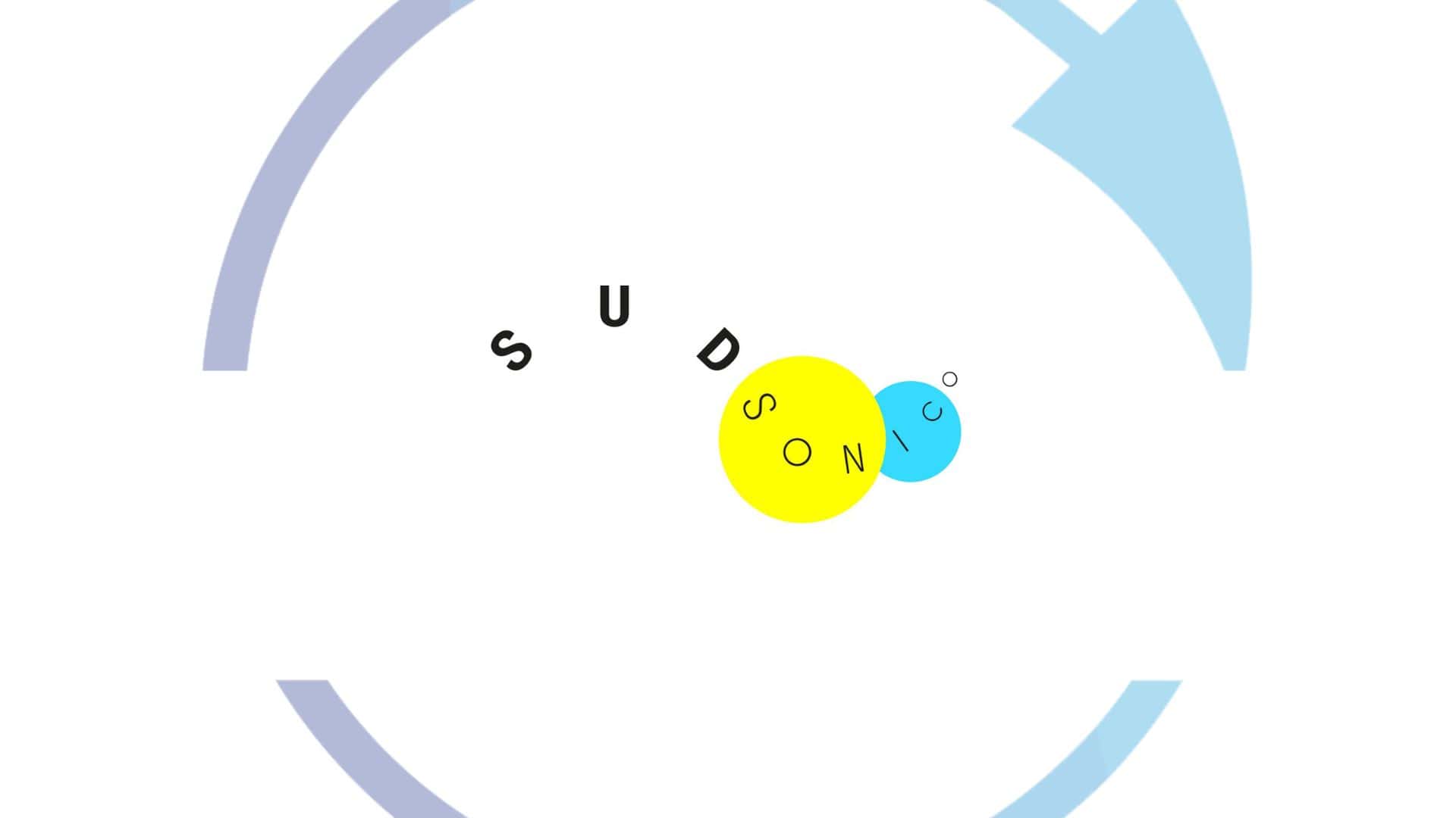 Il network di Innovazione Sociale - Sud Sonico