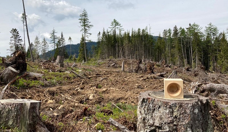 VAIA ripiantumazione 22 maggio FOTO GIULIA LENZI 3