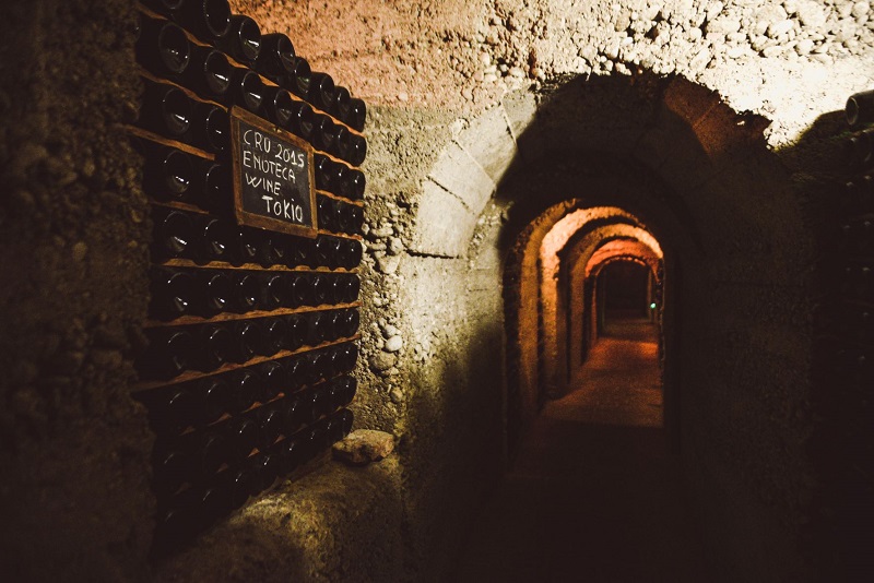 Villa Sandi patrimonio aziendale installazione artistica light