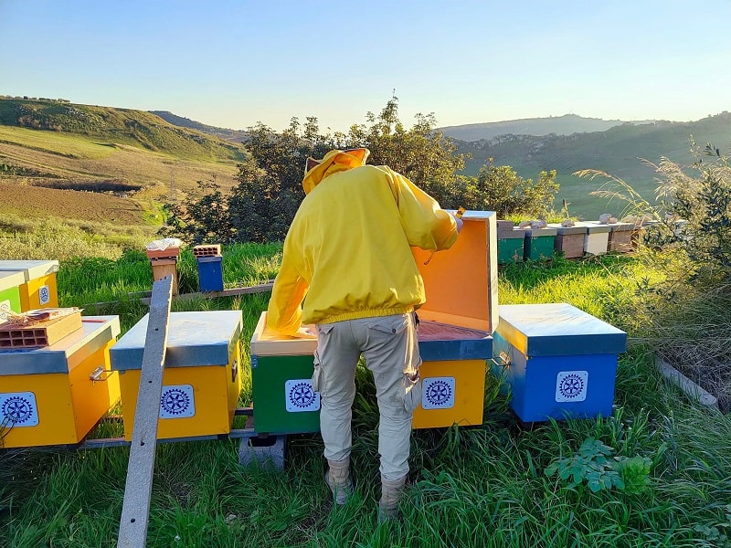 YF Agrigento Youth Food api