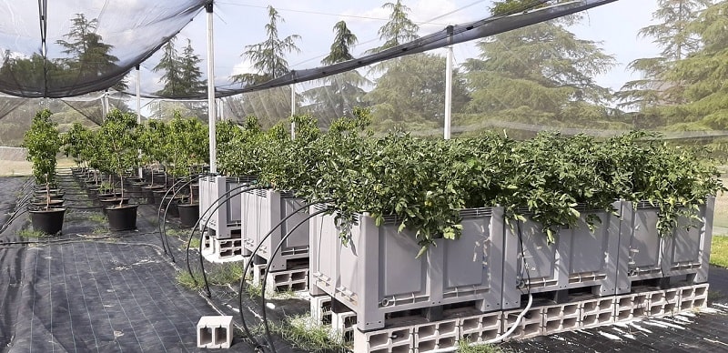 acque reflue Serra Value Ce In 3