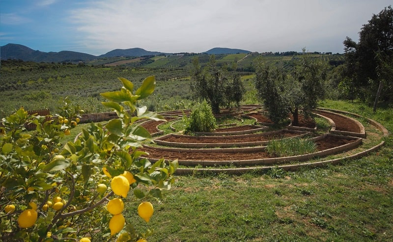 agricoltura 100 2023