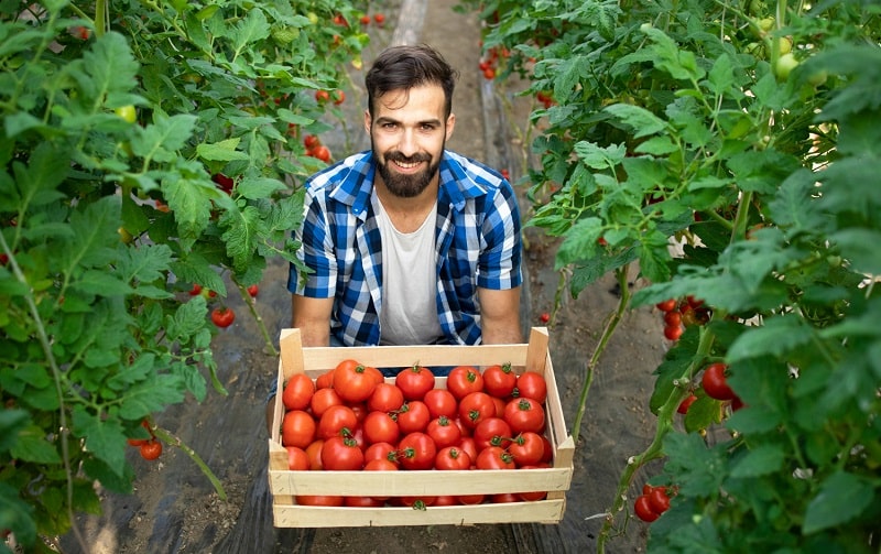 agricoltura sociale emilia romagna bando 2023