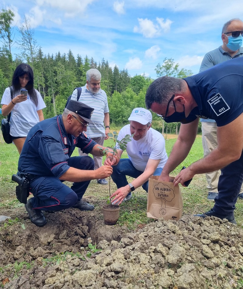 albero per il futuro 3