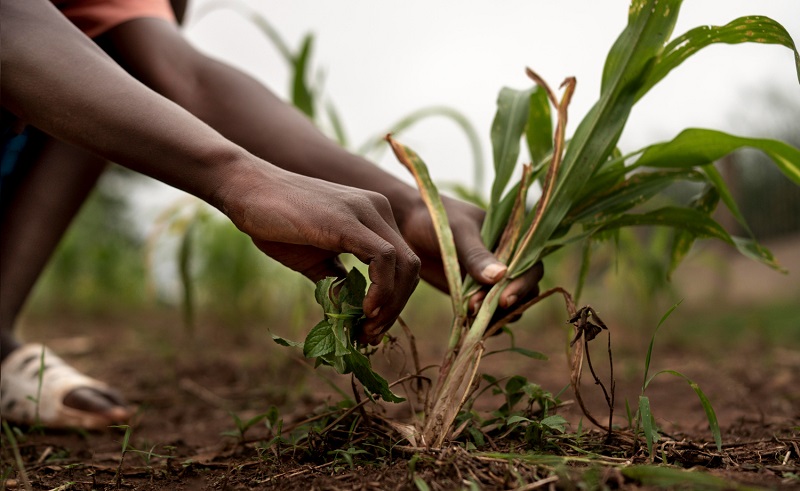 banca etica fairtrade