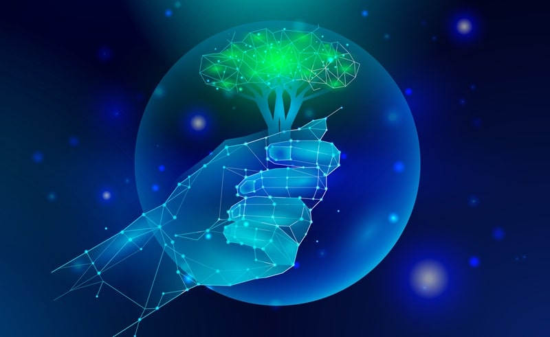 Trasformazione digitale e green per le imprese del Sud: al via il bando Investimenti Sostenibili 4.0