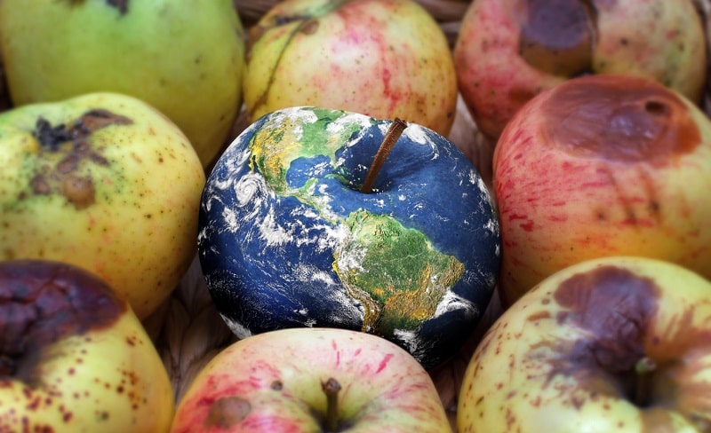 bando spreco alimentare povertà emilia romagna 2022