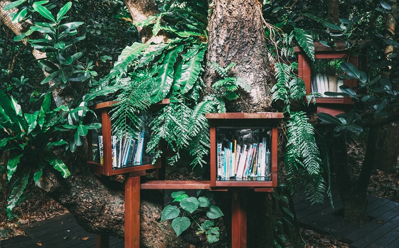 biblioteca sostenibilita