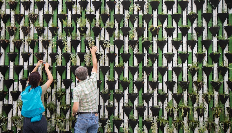 biblioteca sostenibilita 2