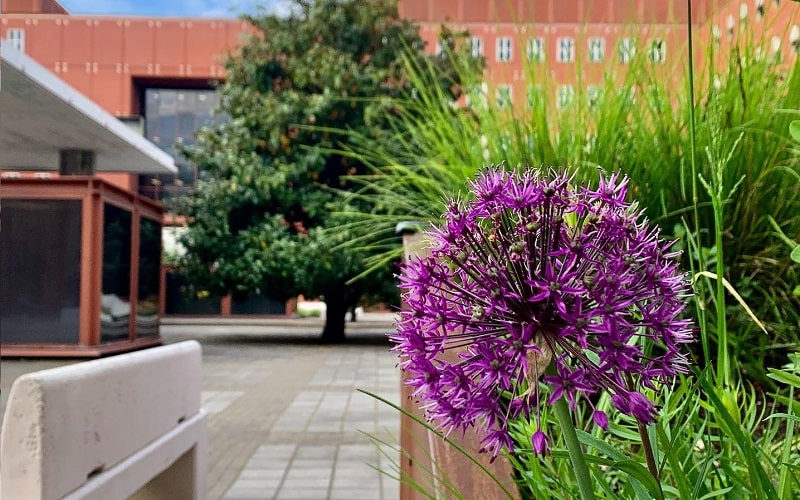 bicocca sostenibilità trasversale