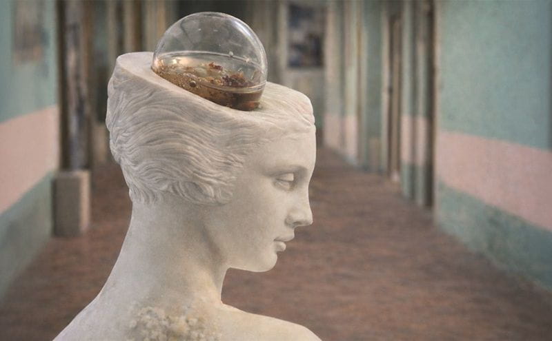 Bioarte e microrganismi: quando i batteri  diventano scultura vivente