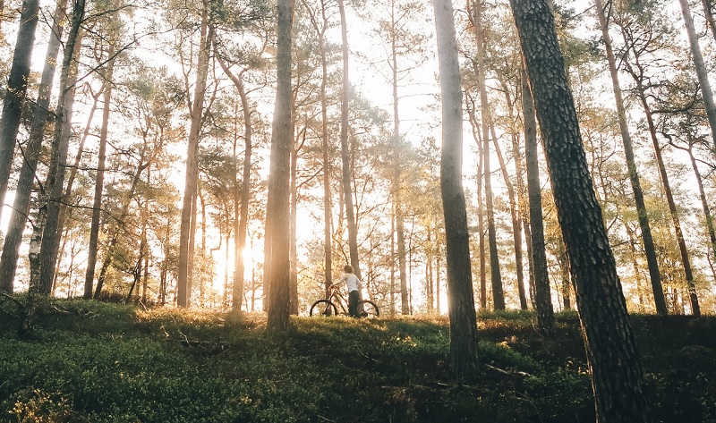 biodiversità lombardia 2022