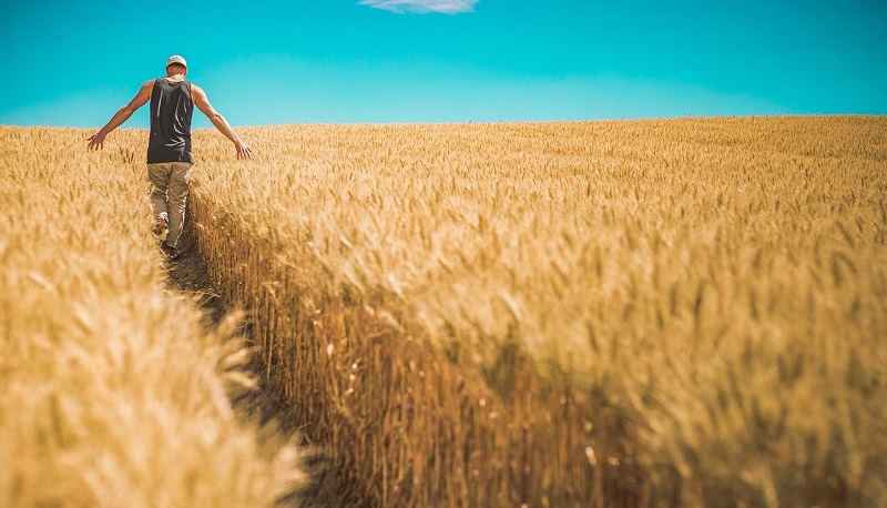 biologico copertina emilia