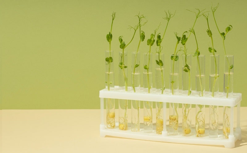 biotecnologie report