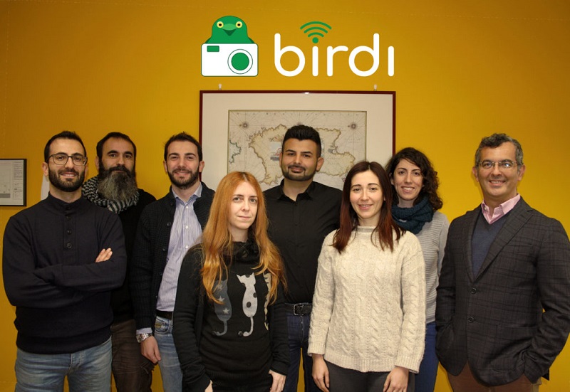 birdi