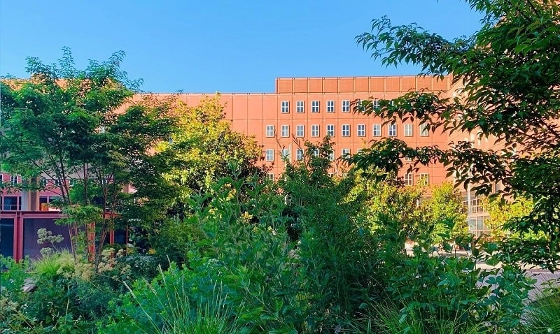 biunicrowd quinta call