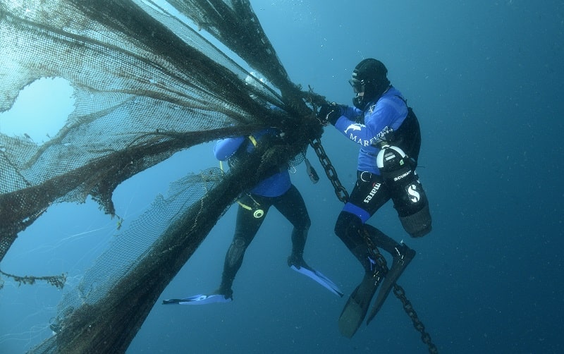 blue days marevivo 2023