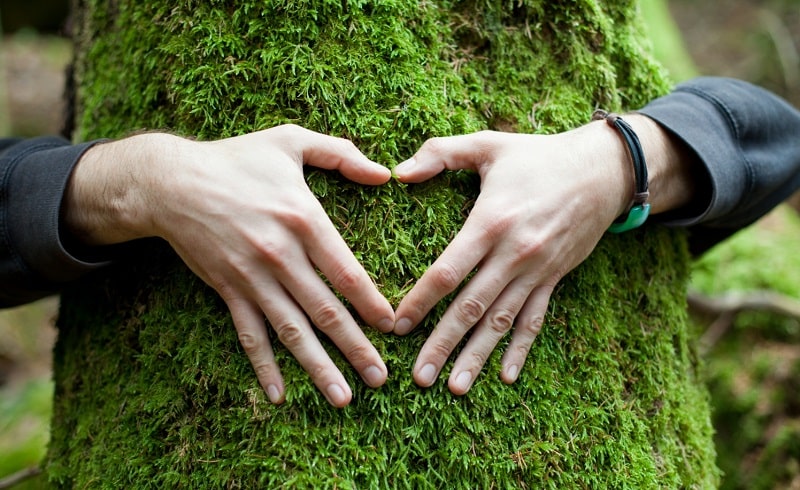 bonus ambiente erogazioni liberali piattaforma mase