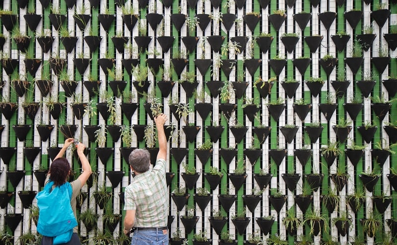 call aspire italia 2023