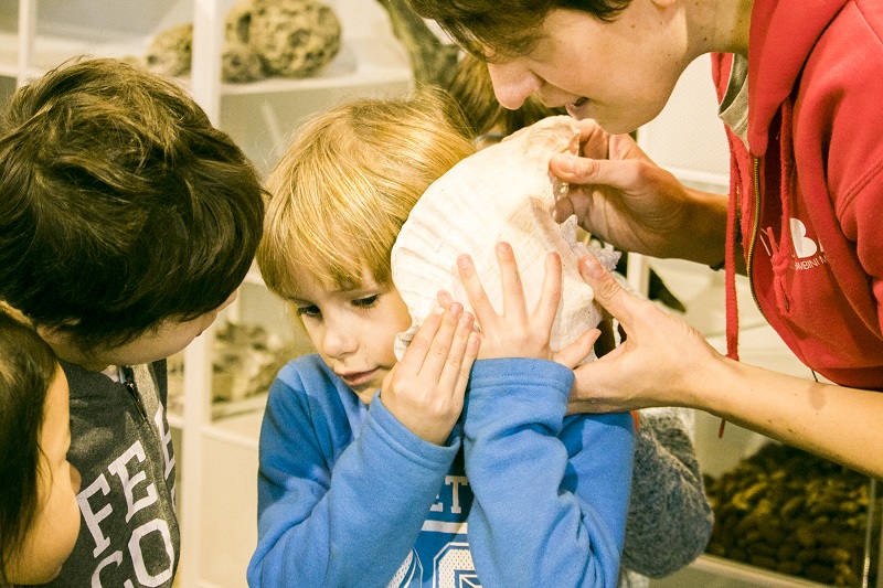 camera delle meraviglie