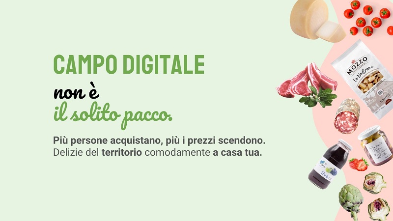 campo digitale fin